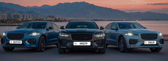 شرطة رأس الخيمة وهيئة الموارد العامة تضعان الضوابط الإدارية والآلية التنفيذية لطرح اللوحات المميزة