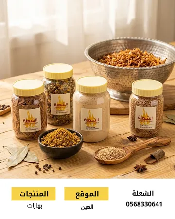 مشروع الشعلة